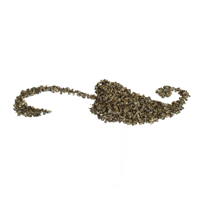 Ronnefeldt Tea Star White Yin Long, 100 g